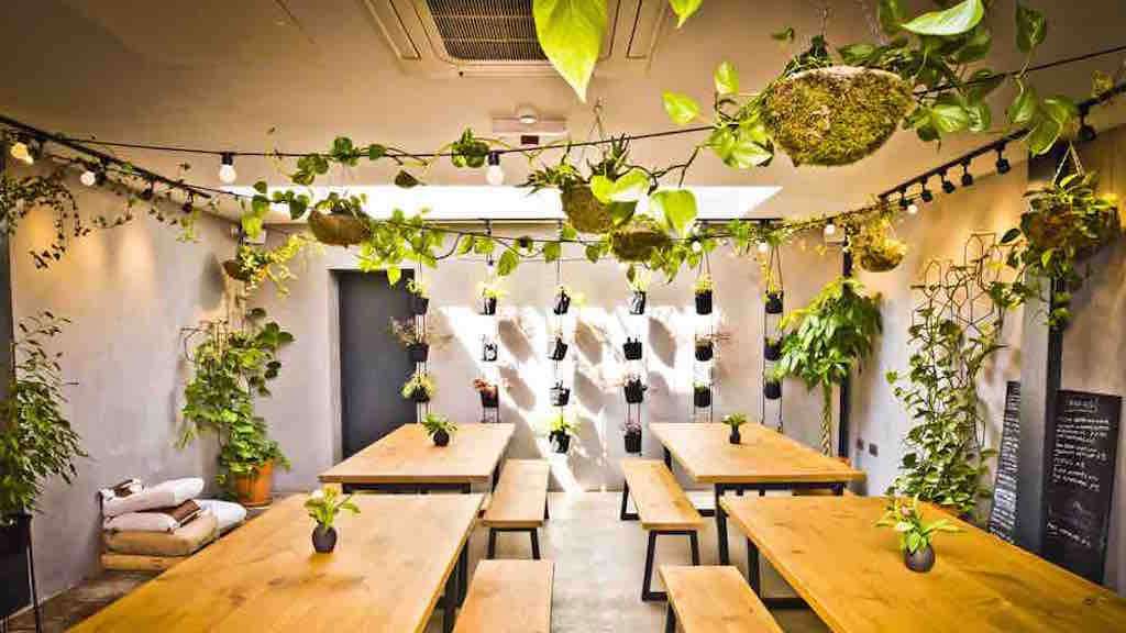 4 top wine bars in Manchester 2025 Star Wine List