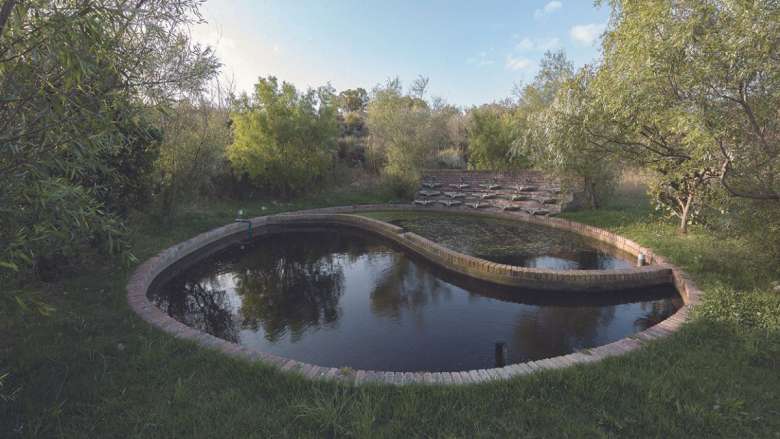A pond in a yin/yang design sitting in a green, sheltered place