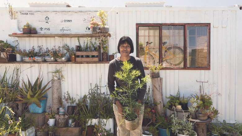 Woman standing in a garden nursery holding a small tree in a pot