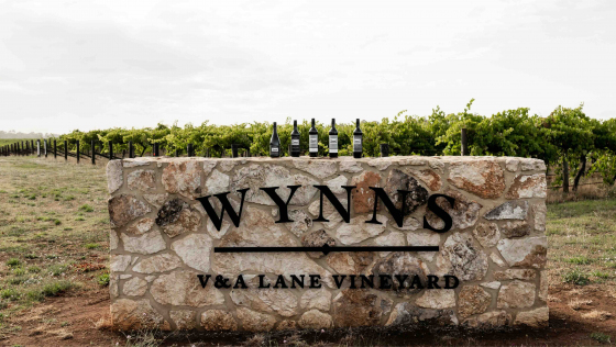 Wynns Coonawarra Estate - wines in the vineyards