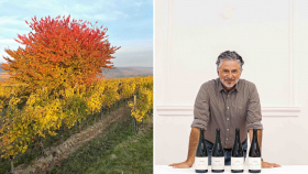 The Weingut Fred Loimer vineyards in Kamptal, Austria, and winemaker Fred Loimer with his bottles of wine.