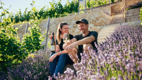 VDP winemakers in Sachsen and Saale-Unstrut.