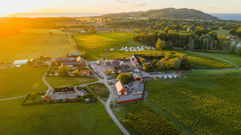 Arilds Vingård