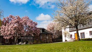 Die Graifen, a winery and restaurant in Traben-Trarbach, Germany.