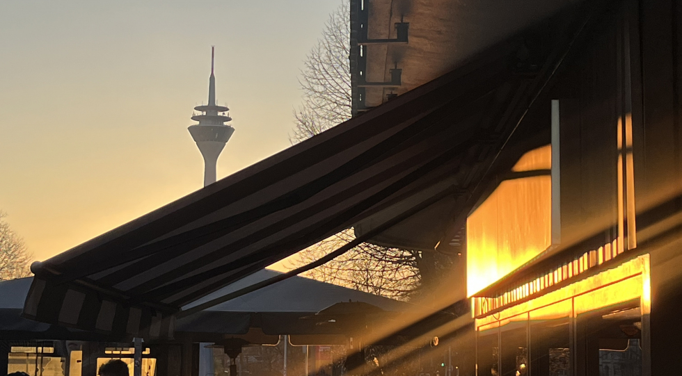 Pommes und Wein (Pelican Fly), a wine bar in Düsseldorf, Germany.