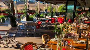 The Vine Bistro, a restaurant in Stellenbosch, South Africa.