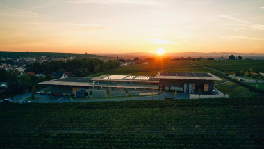 Dreissigacker, a winery and global partner in Bechtheim, Germany.