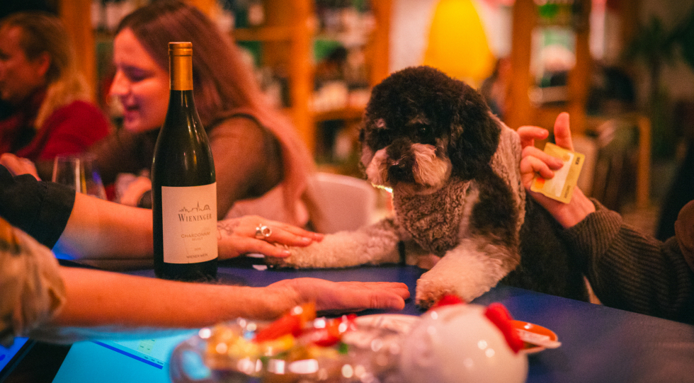 Guests at Veino wine bar, Tallin, Estonia.