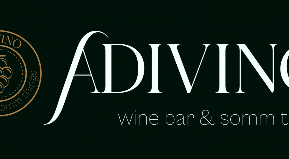 Bar à Vin Artevino WINEARTBS Noir 2 Bouteilles | Fraîcheur 38dB Pose Libre