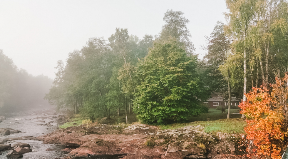 Landscape around Michelin-starred Knystaforsen restaurant, Rydöbruk, Sweden.