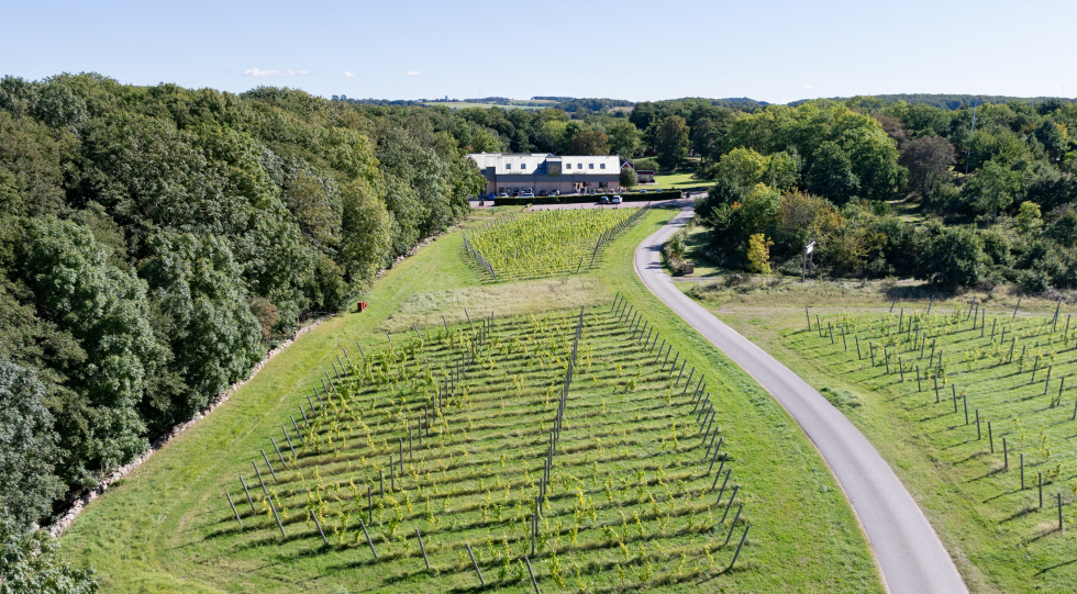 Landscape view of restaurant Flora, Båstad, Sweden.
