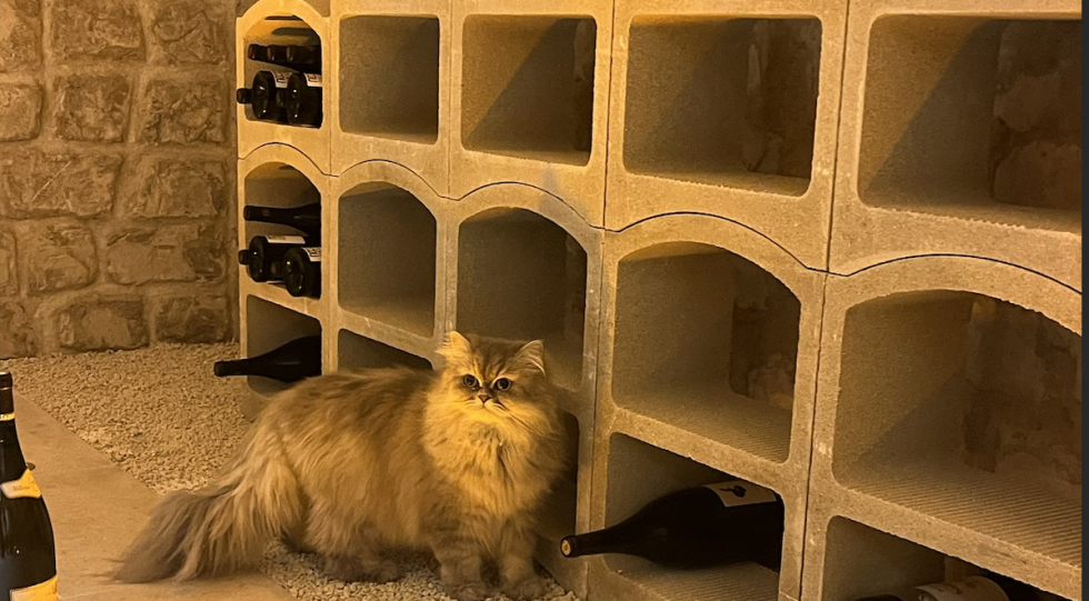 La Vertu, a wine bar in Reims, France.