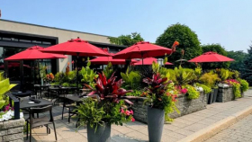The Blackshop, a wine bar in Canada.