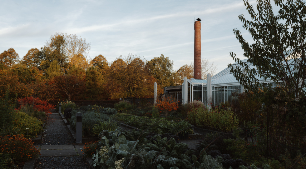 Garden view at restaurant de Kas, Amsterdam, Netherlands.
